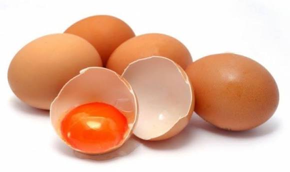 Telur Omega