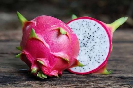 BUAH NAGA