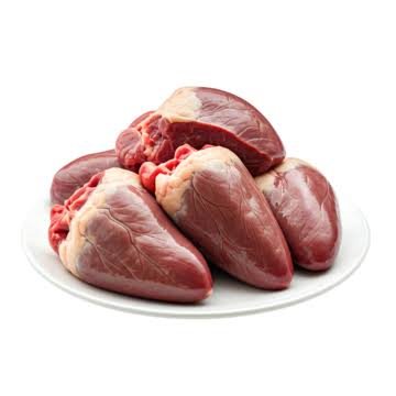Ginjal - Sapi