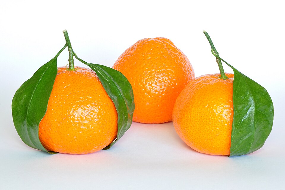JERUK MANDARIN