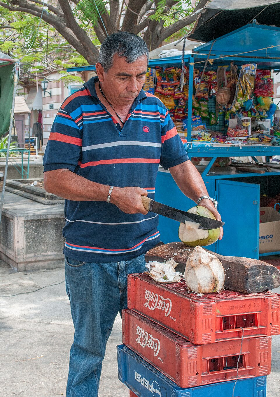 KELAPA MUDA PCS