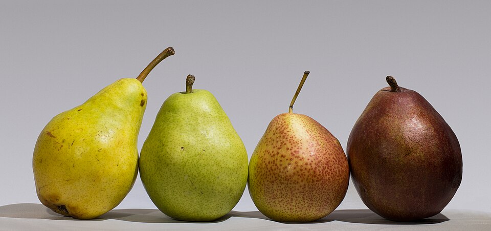 PEAR PACKHAM