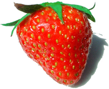 STRAWBERRY 250GR/PACK